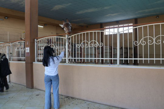 Здійснюють мрії. «Українські вертольоти» організували екскурсію в зоопарк для дітей-сиріт з Київщини – телеканал «Київ»