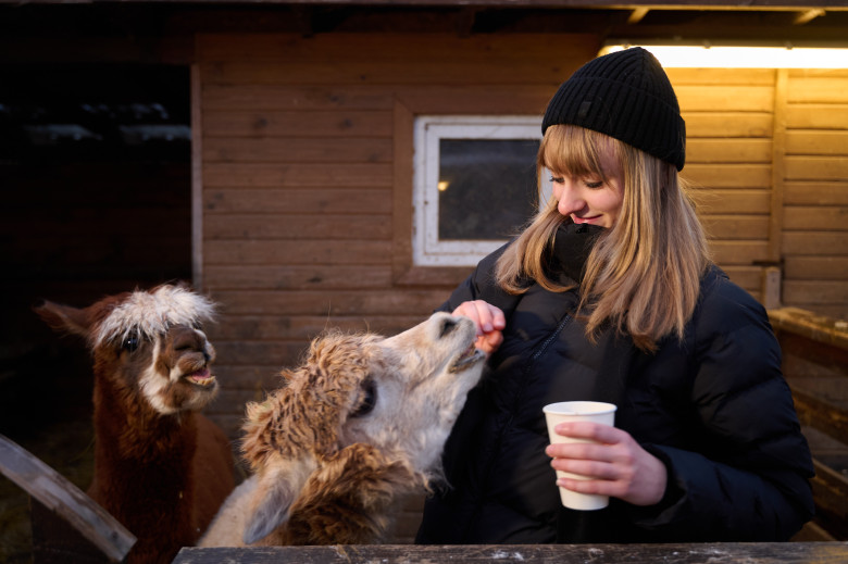 День радості від «Українських вертольотів»: Діти наших Захисників побували в «Зимовій країні»